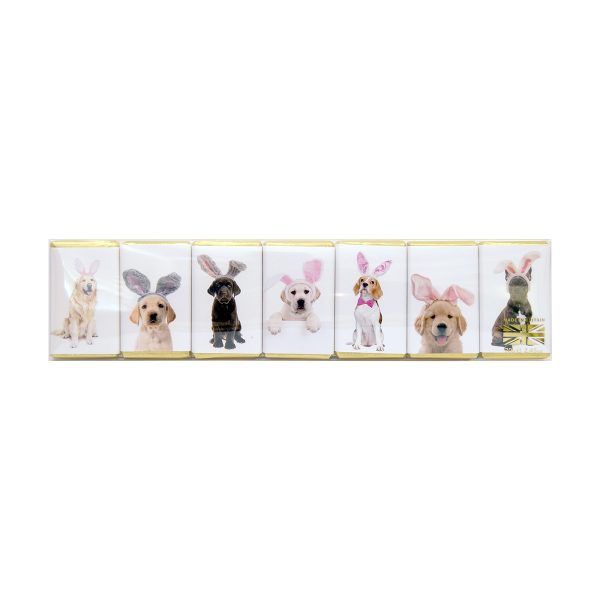 House of Dorchester Dogs in Bunny Ears Milk Chocolate Slims